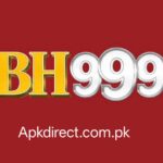 BH999 Game