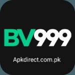 BV999 Game
