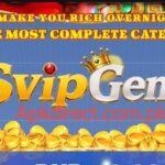 SVIP Game
