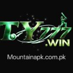 TY777 Game Logo