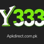 Y333 Game